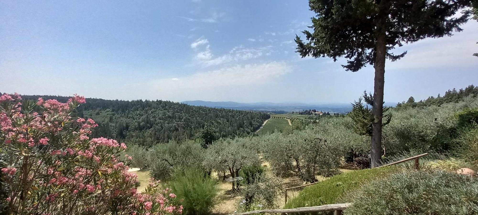 Borgo Nel Chianti Istrice Con Piscina Tennis E Wifi كاستيلّينا إنْ كْيانت المظهر الخارجي الصورة