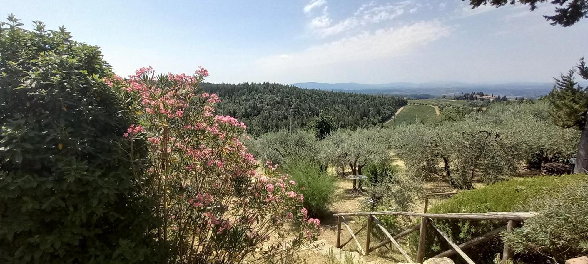 Borgo Nel Chianti Istrice Con Piscina Tennis E Wifi كاستيلّينا إنْ كْيانت المظهر الخارجي الصورة